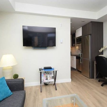 Fully Furnished 1 bedroom Unit Available - Lease Term Flexible - Photo 4