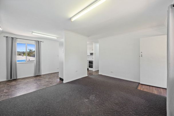 Spacious Highset Family Home with Pool - Photo 1