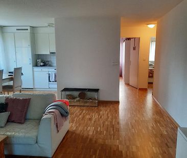 3.5 Zimmer Wohnung - Photo 4