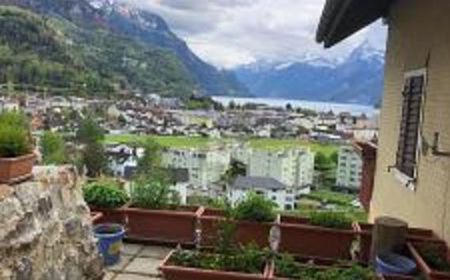 Wohnung in Brunnen - Foto 5