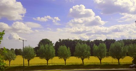 Sadelmakarebyn 3D - Foto 2