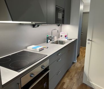 Göte Turessons Väg, Uppsala - Photo 1