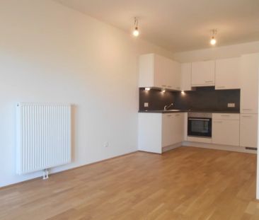 Q5 am PARK großartige 2ZI mit Ost/Balkon - Foto 5