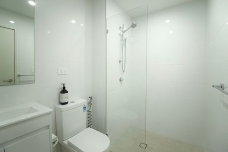 313/22 Dressler Court Merrylands - Photo 3