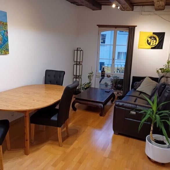 2-ROOM APARTMENT IN BERN – OLD CITY, FURNISHED, TEMPORARY - Foto 1