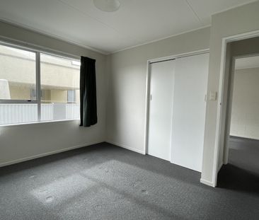 Elm Road, Akina - Photo 4