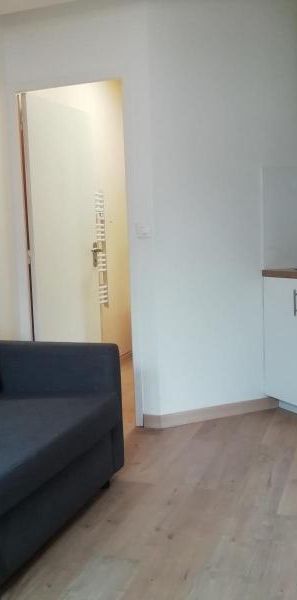 Location Appartement 1 pièce 16m² LE MANS 72000 - Photo 1
