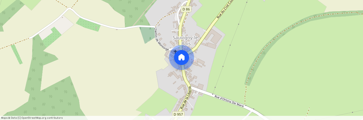 Yonne, 89, 89200, Sauvigny Le Bois