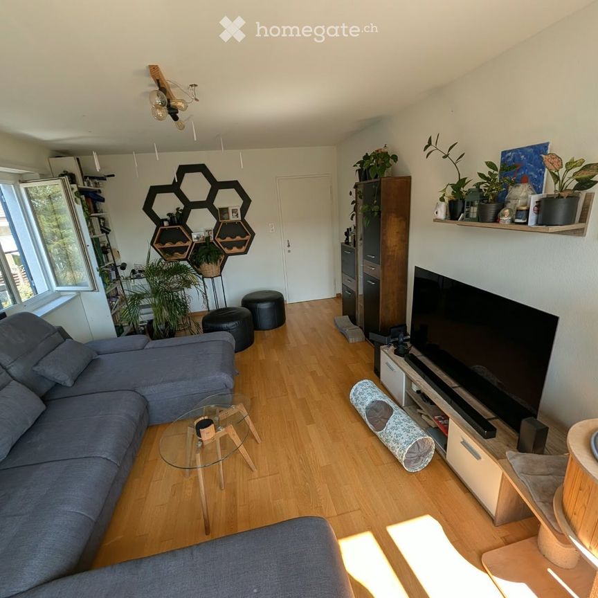 Gemütliche 3.5-Zimmer-Wohnung mit Naturnähe in Uster - Photo 1
