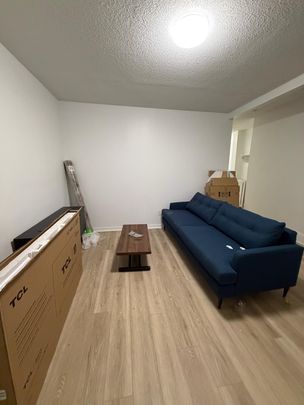 395 Chapel St, Ottawa, ON K1N 7Z5, Canada - Photo 1