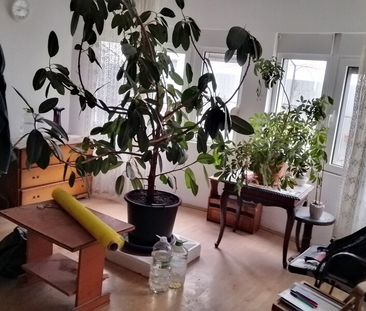 Otopeni, Calea Bucurestilor, casa, 4 camere, curte - Photo 1