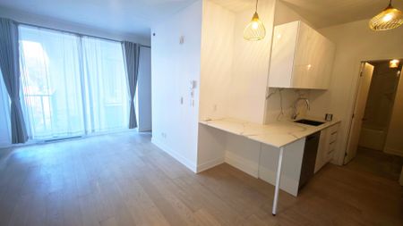 4141 Boul. LaSalle Montréal (Verdun, QC H4G - Photo 5