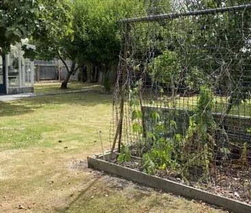 Tidy 3 Bedroom - Great Location - Photo 4