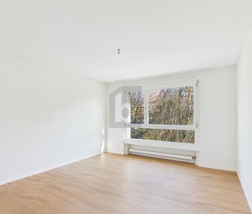 LIGHT-FLOODED WITH A VIEW OF THE NATURE - Photo 5