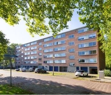 Apartment Breda - Doorwerthstraat - Photo 1