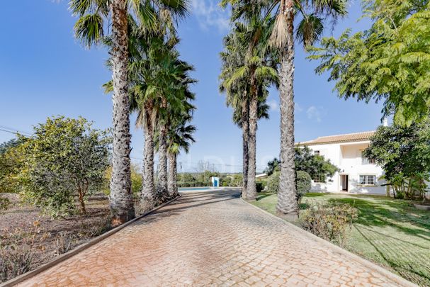 Moradia T3 com piscina em Algoz, Algarve - Photo 1