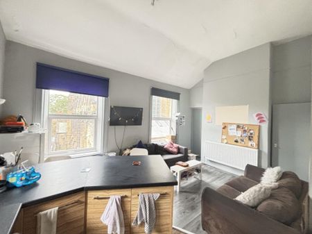 2 Flat 1 Ashwood Villas, Leeds, LS6 2EJ - Photo 3