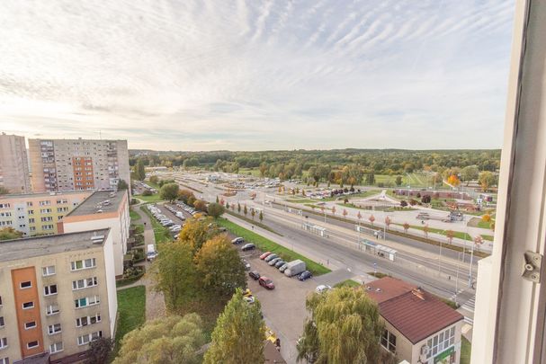 Kawalerka ul. Szafera - Zdjęcie 1