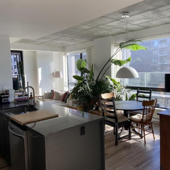 4 1/2 - Montréal (Griffintown) - 2 930 $/mois - Photo 1