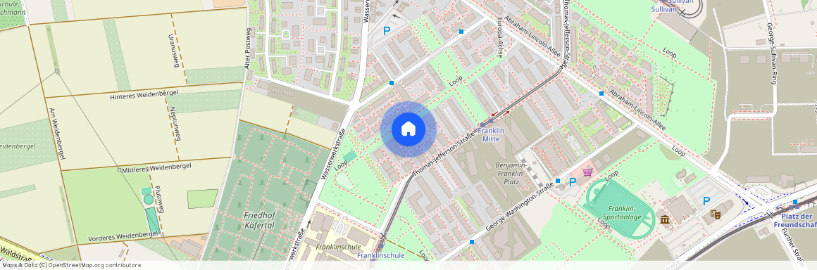 Thomas-Jefferson-Straße 29, 68309, Mannheim