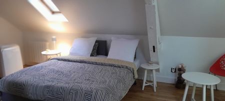 Location Appartement 1 pièce 20m² ORLEANS 45000 - Photo 4