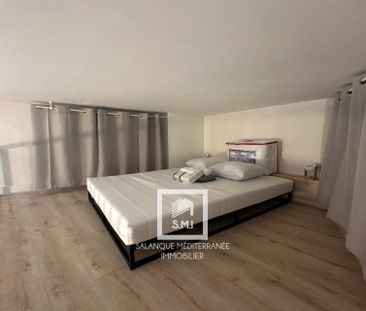 Location Appartement 1 pièce 21m² PERPIGNAN 66000 - Photo 4
