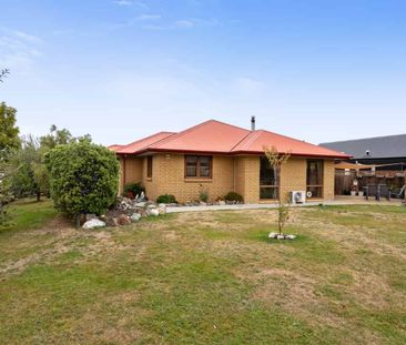 Sunny, Spacious Home in the Heart of Timsfield - Photo 5