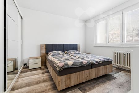 Pronájem, byt 2+1 s lodžií, Sídliště U Nového nádraží, Bílina - Photo 3