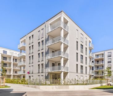 Perfekt für Studenten! 1- Zimmer-Apartment im Augusta & Luca mit Da... - Photo 5