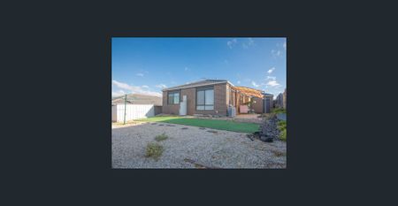 MAGNIFICANT MEWS - Photo 3