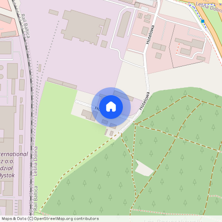 ul. Bacieczki, Leśna Dolina, Białystok, podlaskie