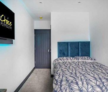 North Road East, Plymouth, PL4 - Photo 3