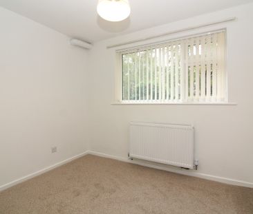 1 Bedroom Apartment - Photo 4