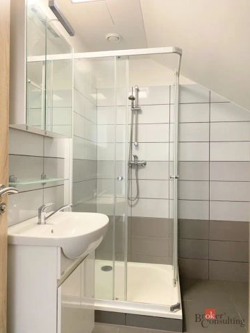 Pronájem bytu 2+kk 55 m - Fotografie 4