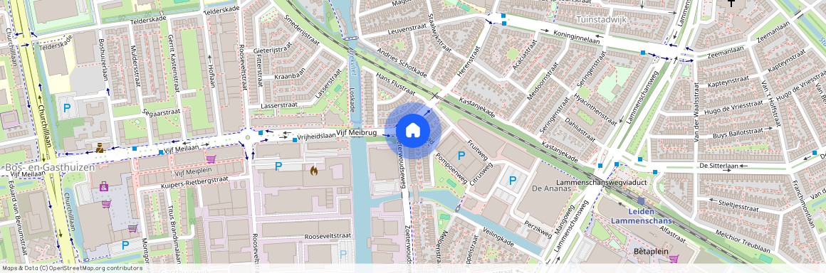 Leiden, 2321DL, Vrijheidslaan