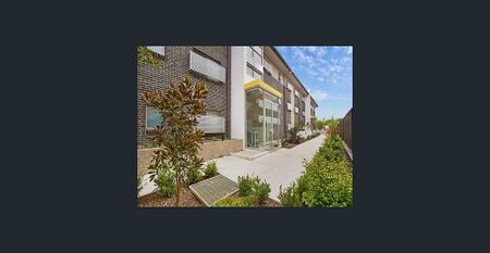 Stylish One-Bedroom Apartment in Leafy, Quiet Street - Photo 4