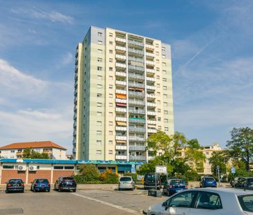 Demnächst frei! 1-Zimmer-Wohnung in Neustadt an der Weinstraße - Photo 6