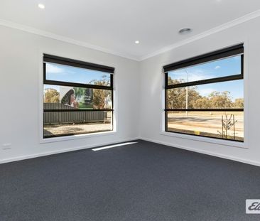 Quality Family Living in Huntly - Photo 6