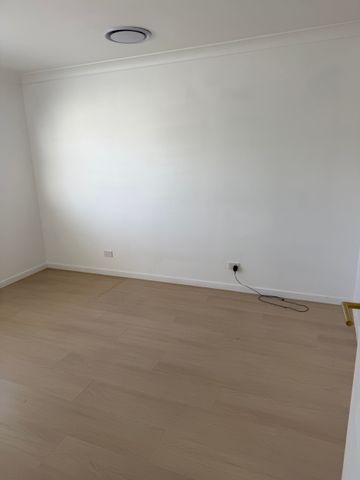 Daisy Hill - Photo 3