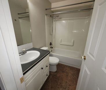 1 Bedroom Apartment w/ In-Suite Laundry!!! - Photo 5