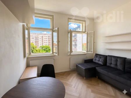 Pronájem bytu 1+kk Po rekonstrukci - Fotografie 4