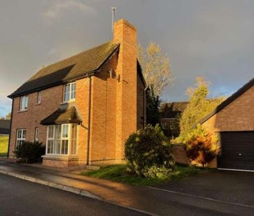 Baltylum Meadows, Portadown, BT62 - Photo 3