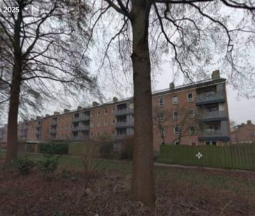 Appartement de 3 pièces Jonkheer van Cittersplein, Purmerend - À louer - Photo 5