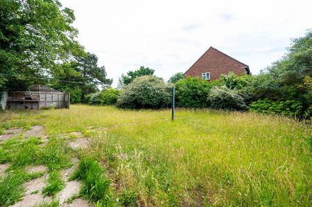 3 bedroom semi-detached house to rent - Photo 3