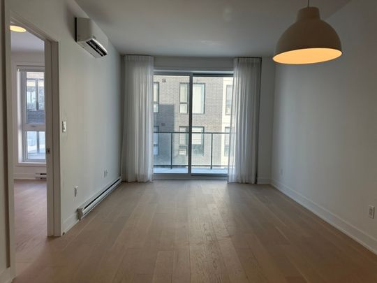 10130 Rue Lauraine-Vaillancourt, app.202, H3L 0B1, H3L 0B1, Montréal - Photo 1