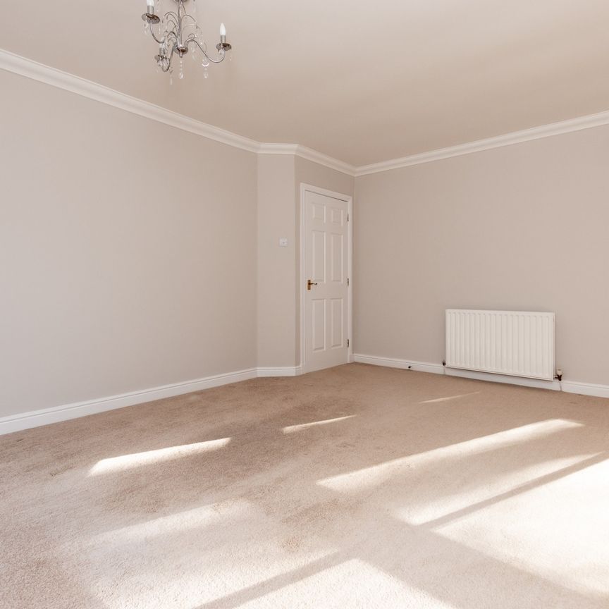 Camphill Avenue - Photo 1