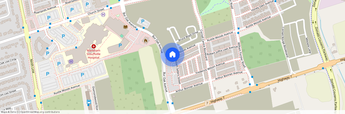 58 Adam Sellers Street, Markham