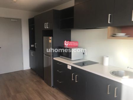 Studio adaptable - Photo 4