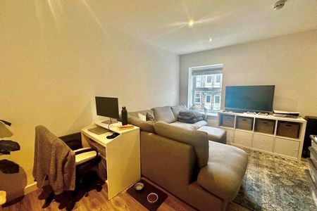 Back Dragon Parade - Photo 2