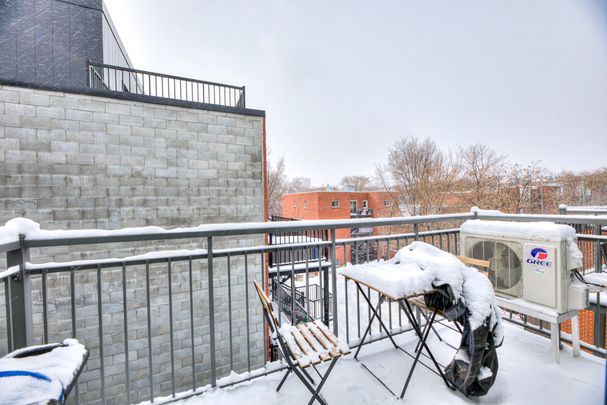 2541 Rue de Rouen #203, Montréal (Ville-Marie), H2K1M5 - Photo 1